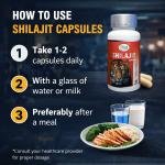 Shilajit Capsule – Natural Energy & Vitality Support (60 Capsules)