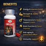 Shilajit Capsule – Natural Energy & Vitality Support (60 Capsules)