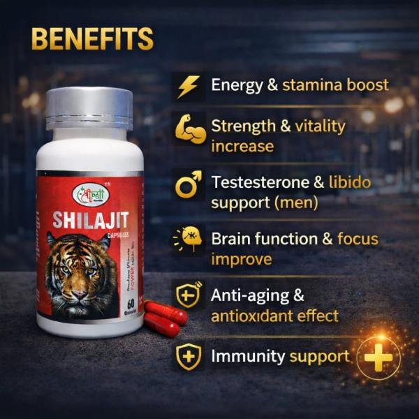 Shilajit Capsule – Natural Energy & Vitality Support (60 Capsules)